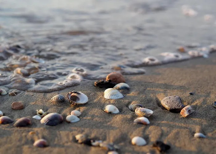 Appartamento Cozy Flat In